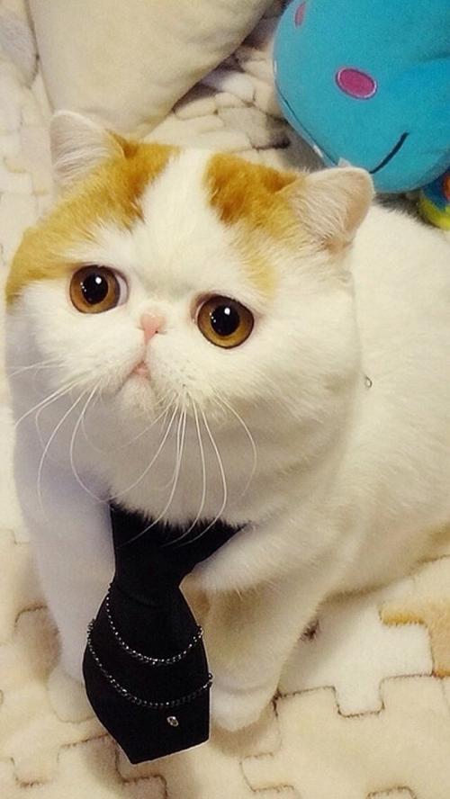 йõԣ⣺ԭɷݸٳɳ֮