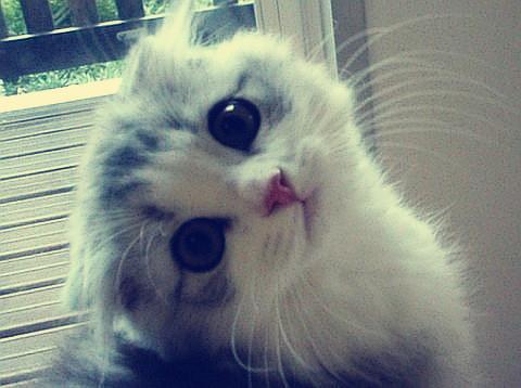 APPѹرգҪûһ˵Ļᡱ