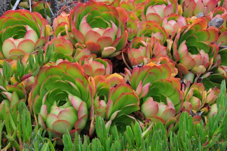 ǿֻ ȷũ񹤰ʱõꡱ