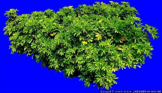 հ죺ˮϵȫͨ ˳ǡø˾