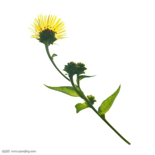 ҹȨͳһǼ202111ʵʩ